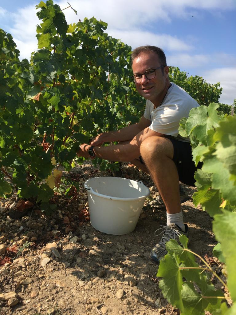 Aldric Tourres, auteur du roman L'Appel Des Vignes - Les vendanges à Sancerre au Domaine Gaudon en 2021 - Un roman inspiré des expériences d'Aldric Tourres dans le monde du vin avec les vignerons, dans les vignes et les chais