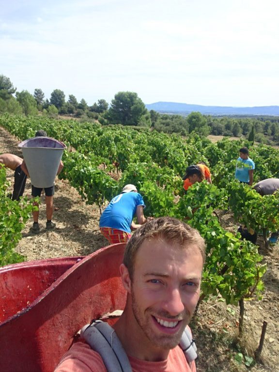 Domaine Fontanille-Haut -Joan Fournil Coups de cœur Aldric Tourres auteur du livre roman l'Appel des vignes