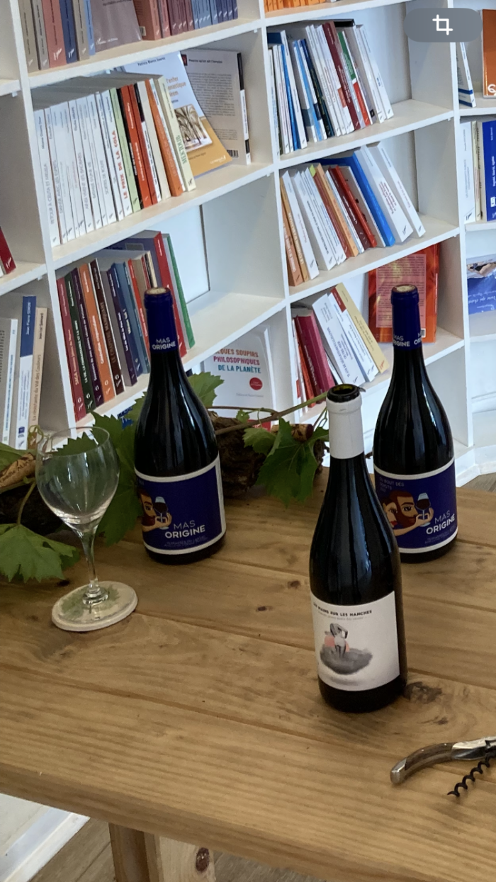 Dégustation de vins pour plonger dans l'univers du livre L'Appel des vignes